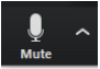 Zoom Microphone/Mute button